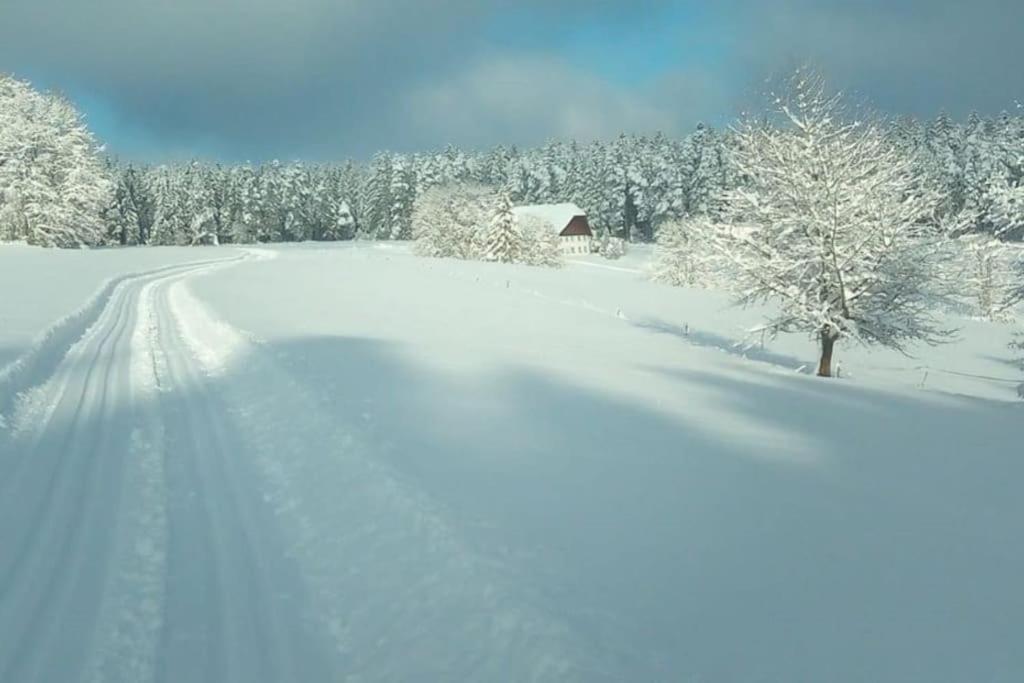 Ferienwohnung Im Schwarzwald Unterkirnach Eksteriør billede